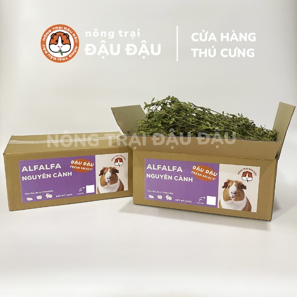 Cỏ Alfalfa Sấy Lạnh - Đậu Đậu Fresh Select