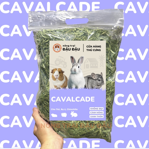 Cỏ Cavalcade Cho Thỏ, Bọ Ú, Chinchilla Dinh Dưỡng Nhiều Lá