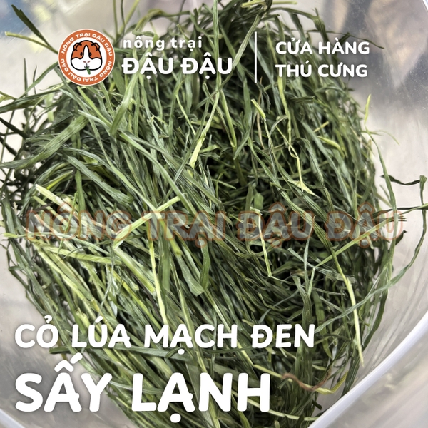 Cỏ Lúa Mạch Đen Cho Thỏ, Bọ Ú, Chinchilla Ăn Vặt Thơm Ngon 250g