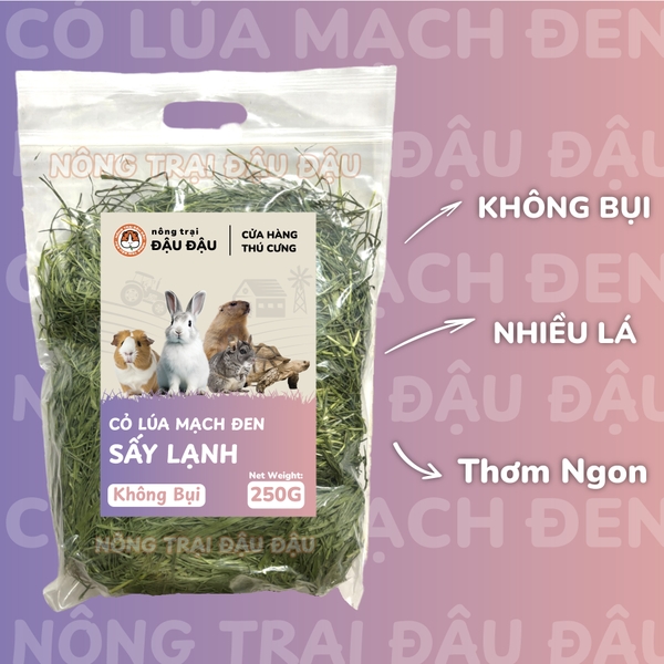 Cỏ Lúa Mạch Đen Cho Thỏ, Bọ Ú, Chinchilla Ăn Vặt Thơm Ngon 250g