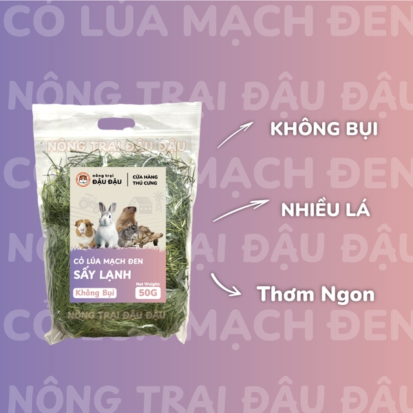 Cỏ Lúa Mạch Đen Cho Thỏ, Bọ Ú, Chinchilla Ăn Vặt Thơm Ngon 250g