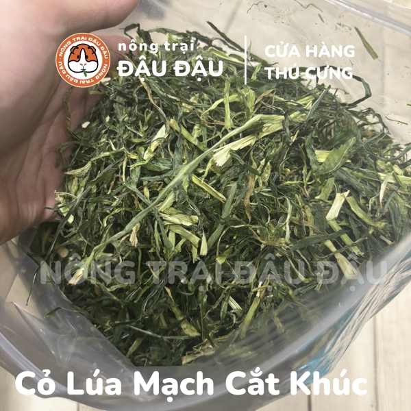 Cỏ Lúa Mạch Cắt Khúc