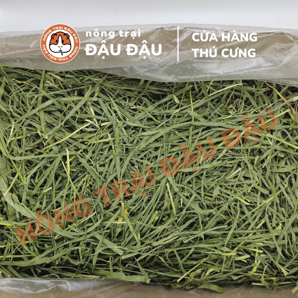 Cỏ Lúa Mì