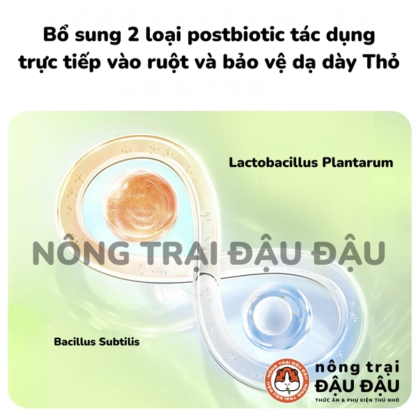 Cỏ Nén Cho Thỏ Yee Oatmeal
