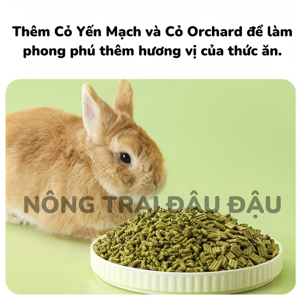 Cỏ Nén Cho Thỏ Yee Oatmeal