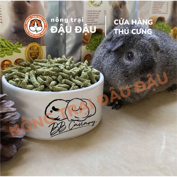 Cỏ Nén Master Thái Lan Cho Bọ Ú