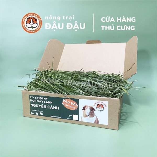Cỏ Timothy Sấy Lạnh Cho Thỏ, Bọ Ú, Chinchilla Nguyên Cành Siêu Xanh Lá Mềm 480g 980g