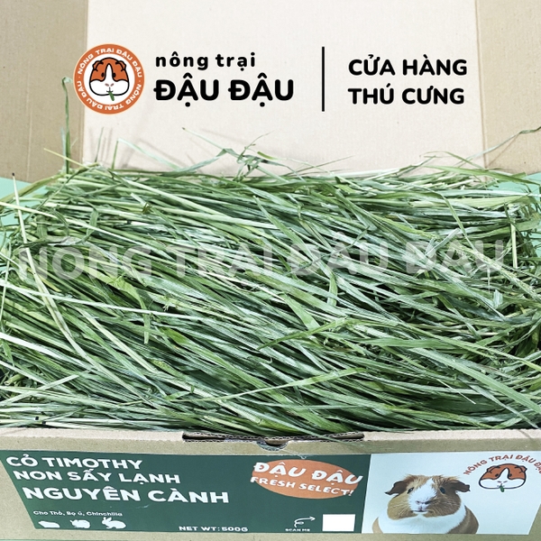 Cỏ Timothy Sấy Lạnh Cho Thỏ, Bọ Ú, Chinchilla Nguyên Cành Siêu Xanh Lá Mềm 480g 980g