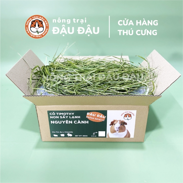 Cỏ Timothy Sấy Lạnh Cho Thỏ, Bọ Ú, Chinchilla Nguyên Cành Siêu Xanh Lá Mềm 480g 980g
