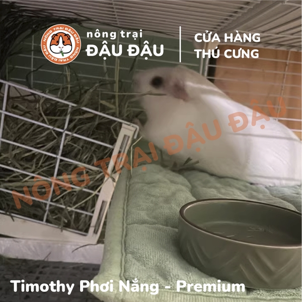 Cỏ Timothy Cho Bọ Ú, Thỏ, Chinchilla Timothy Phơi Nắng Không Bụi 500g