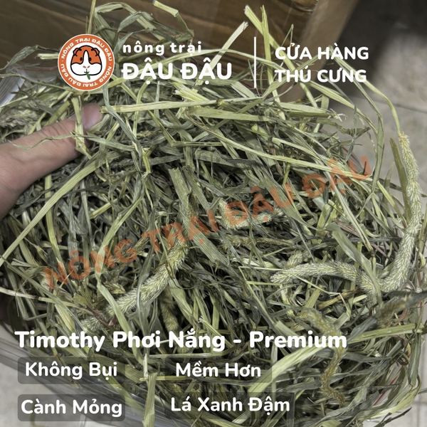 Cỏ Timothy Cho Bọ Ú, Thỏ, Chinchilla Timothy Phơi Nắng Không Bụi 500g