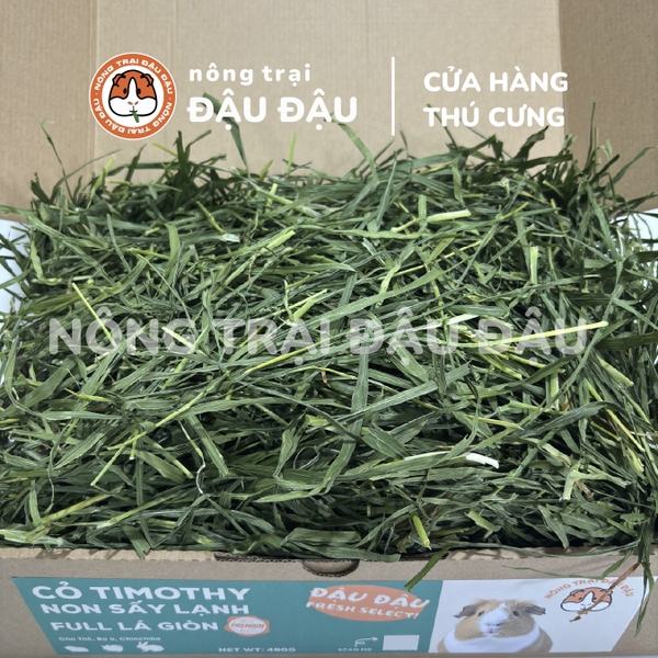Cỏ Timothy Sấy Lạnh Full Lá Giòn Premium Siêu Xanh Cho Thỏ, Bọ Ú, Chinchilla 500g