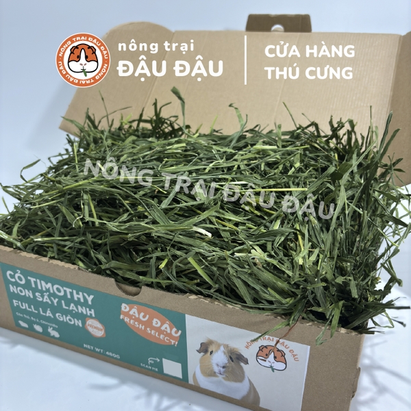 Cỏ Timothy Sấy Lạnh Full Lá Giòn Premium Siêu Xanh Cho Thỏ, Bọ Ú, Chinchilla 500g