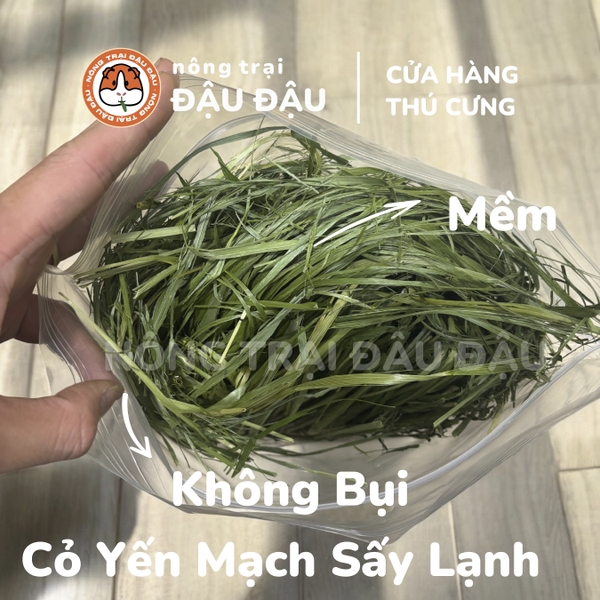 Cỏ Yến Mạch - Đậu Đậu Fresh Select