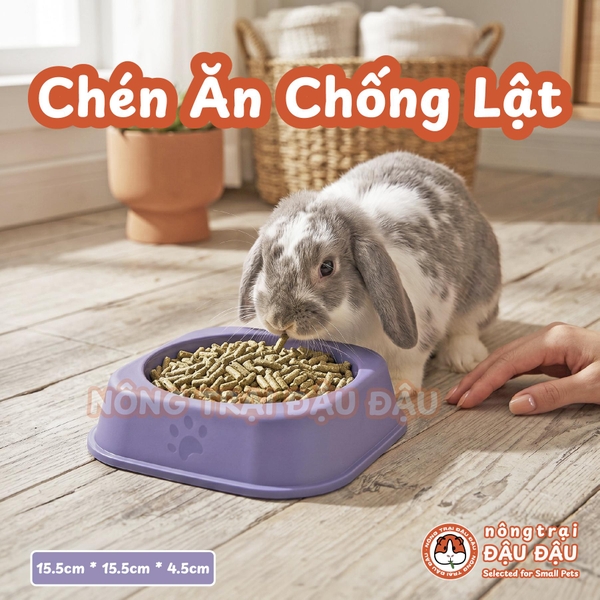 Chén Ăn Chống Lật Cho Thỏ, Bọ Ú, Chinchilla, Chó, Mèo
