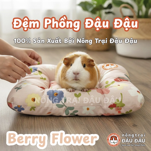 Đệm Cho Bọ Ú, Thỏ, Chinchilla, Thú Nhỏ Đệm Phồng Thoải Mái Thoáng Mát