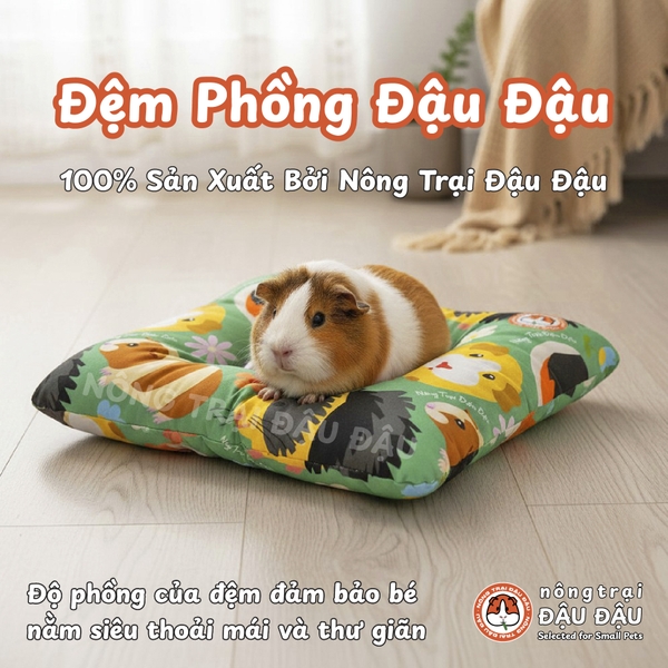 Đệm Cho Bọ Ú, Thỏ, Chinchilla, Thú Nhỏ Đệm Phồng Thoải Mái Thoáng Mát
