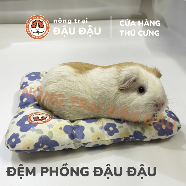 Đệm Cho Bọ Ú, Thỏ, Chinchilla, Thú Nhỏ Đệm Phồng Thoải Mái Thoáng Mát