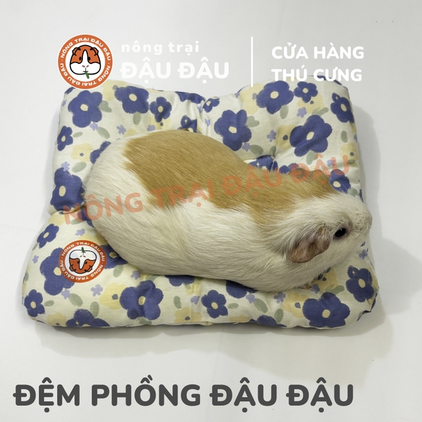 Đệm Cho Bọ Ú, Thỏ, Chinchilla, Thú Nhỏ Đệm Phồng Thoải Mái Thoáng Mát