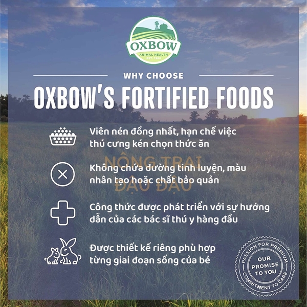 (Túi Nguyên) Rabbit Oxbow Essentials Adult 2.25kg