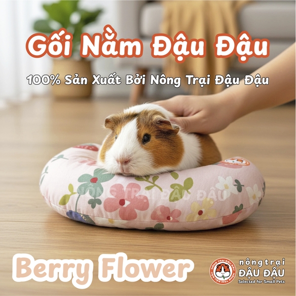 Gối Nằm Đậu Đậu Chuyên Dụng Cho Bọ Ú, Thỏ, Thú Nhỏ, Chó, Mèo