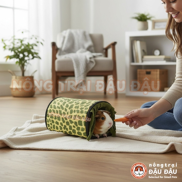 Hầm Trú Ẩn Cho Bọ Ú Chuột Lang Có Rèm Che