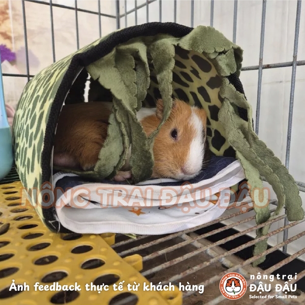 Hầm Trú Ẩn Cho Bọ Ú Chuột Lang Có Rèm Che