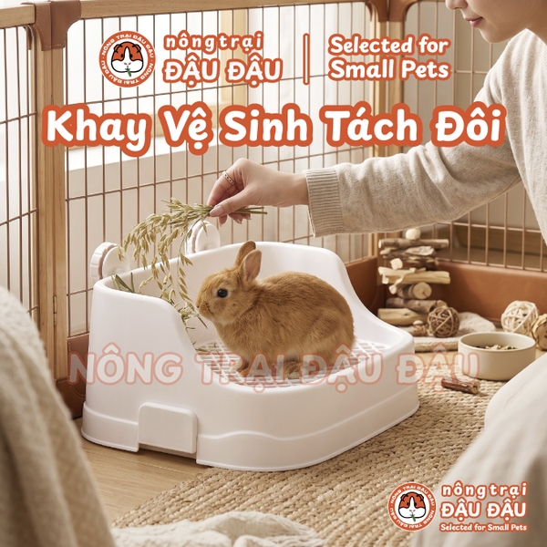 Khay Vệ Sinh Cho Thỏ, Bọ Ú, Chinchilla Cao Cấp Tiện Lợi 