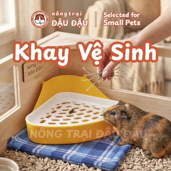 Khay vệ sinh dành cho thú cưng, sử dung trong gia đình, chất liệu nhựa PP, kích thước (24*32*5)cm, không hoạt Cái 80 26.660 2.132.800 8% 170.624 2.303.424 động bằng điện, không hiệu
