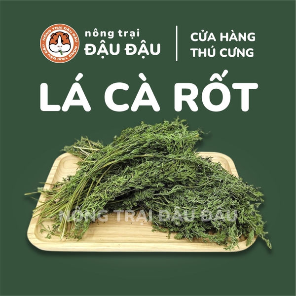 Lá Cà Rốt Cho Thỏ, Bọ Ú, Chinchilla Giàu Vitamin 50g 250g