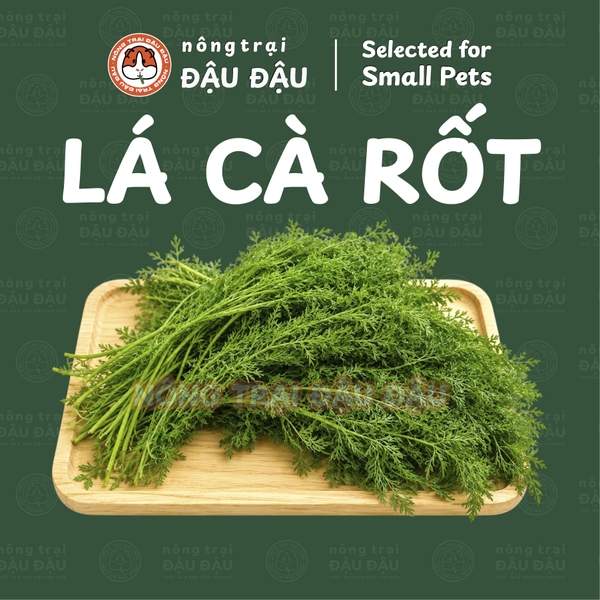 Lá Cà Rốt Sấy Khô