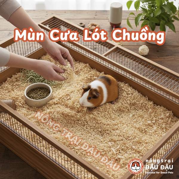 Mùn Nén Lót Chuồng