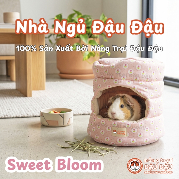 Nhà Ngủ Đậu Đậu