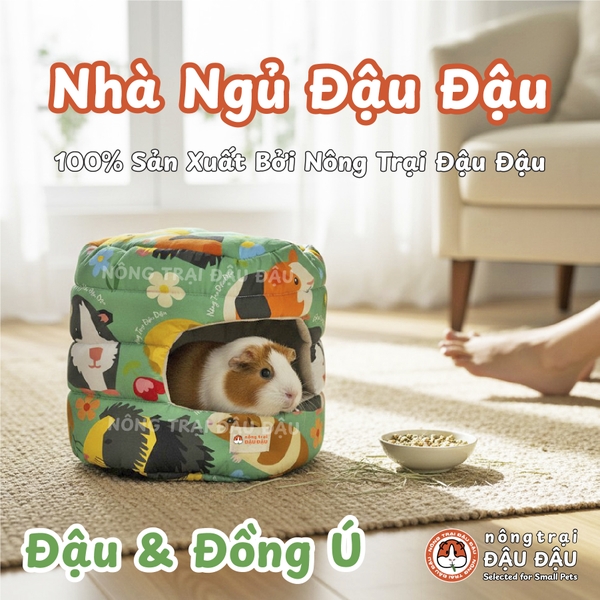 Nhà Ngủ Đậu Đậu