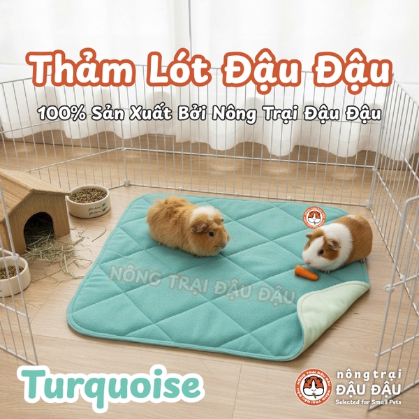 Thảm Pee Pads Đậu Đậu