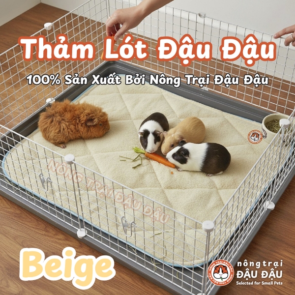 Thảm Pee Pads Đậu Đậu