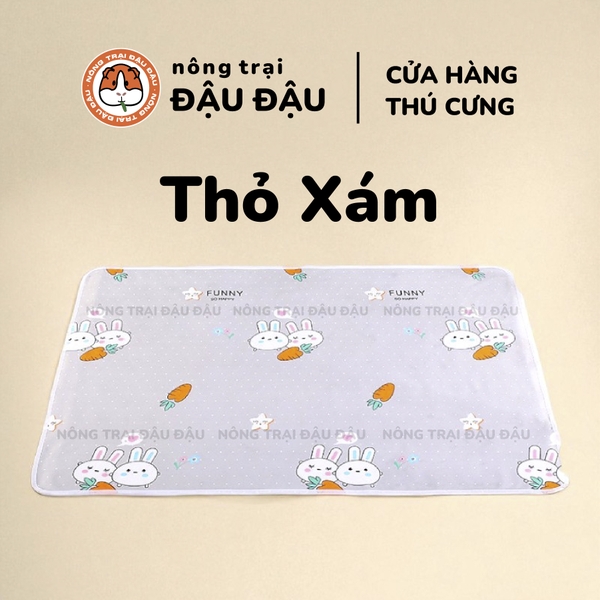 Thảm Tã Thấm Hút Lót Chuồng Cho Thỏ, Bọ Ú (Chuột Lang) Pee Pads
