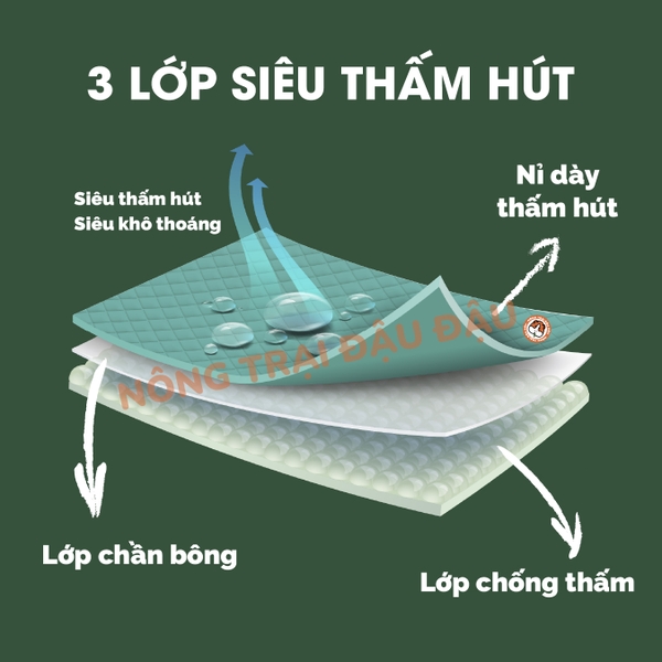Thảm Thấm Hút Lót Chuồng Cho Thỏ, Bọ Ú (Chuột Lang) Đậu Đậu Pee Pads