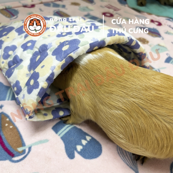 Túi Ngủ Trú Ẩn Cho Bọ Ú Chuột Lang Vải Thoáng Mát