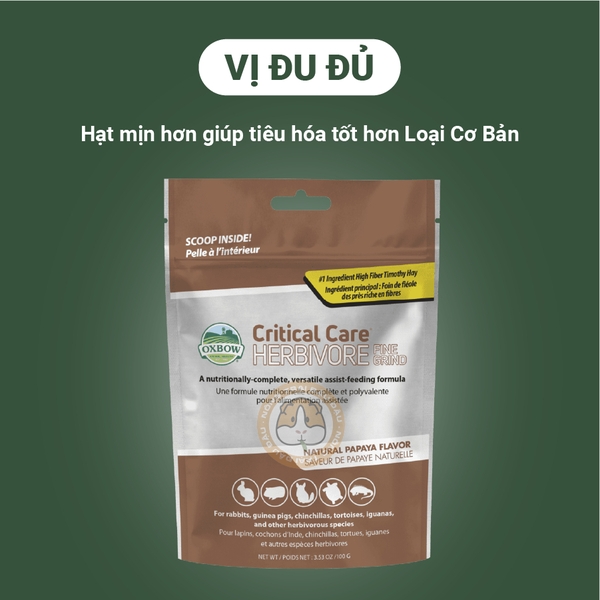 Oxbow Critical Care Bột Cỏ Phục Hồi Khẩn Cấp Cho Thỏ, Bọ Ú, Chinchilla, Rùa Cạn, Bò Sát
