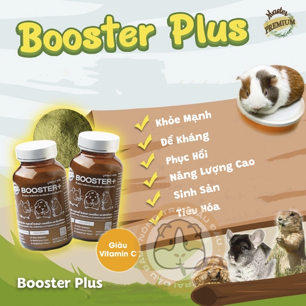 Bột Cỏ Bổ Sung Vitamin Booster Plus Cho Bọ Ú, Thỏ, Chinchilla, Rùa Cạn, Thú Gặm Nhấm