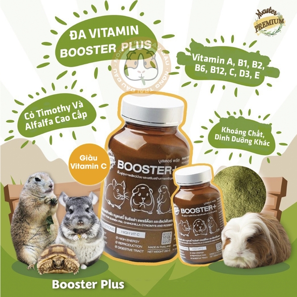 Bột Cỏ Bổ Sung Vitamin Booster Plus Cho Bọ Ú, Thỏ, Chinchilla, Rùa Cạn, Thú Gặm Nhấm