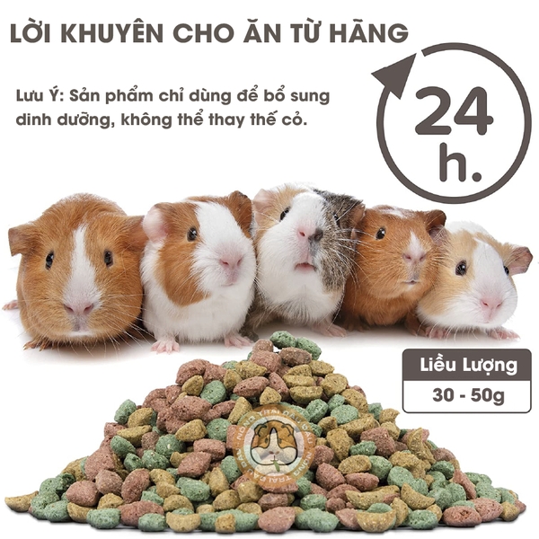 Thức Ăn Cho Bọ Ú Beaphar Bổ Sung Vitamin C, Chất Xơ, Chăm Sóc Răng Miệng