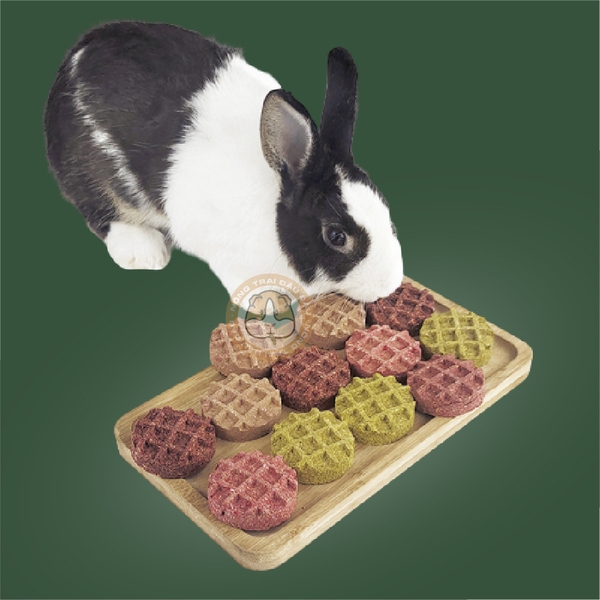 Bánh Cỏ Yến Mạch Waffle Vị Trái Cây Cho Thỏ, Bọ Ú, Chinchilla Ăn Vặt Mài Răng