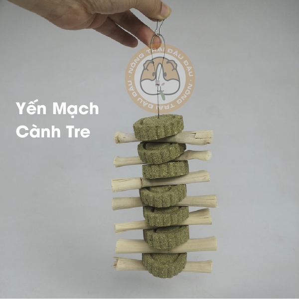 Dây Bánh Cỏ Mài Răng Hỗ trợ Giảm Stress Thức Ăn Cho Thỏ, Bọ Ú, Chinchilla