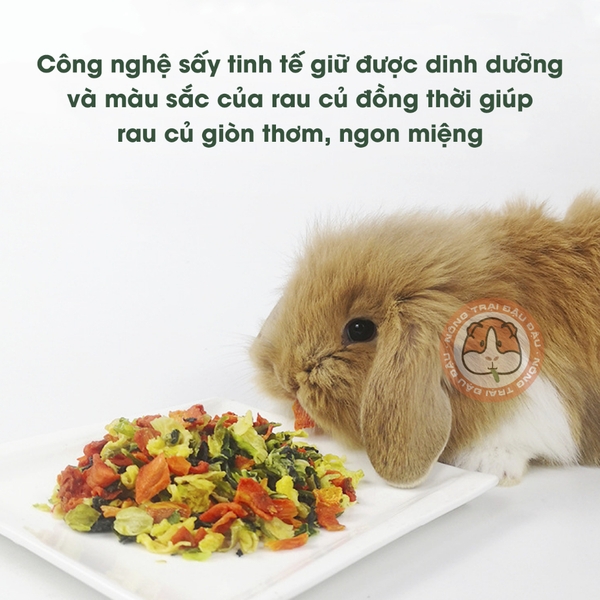 Rau Củ Sấy Cho Thỏ, Bọ Ú, Chinchilla Giàu Vitamin 100g