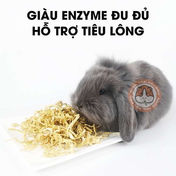 Đu Đủ Sợi Ăn Vặt Cho Thỏ, Bọ Ú, Chichilla Ăn Vặt Thơm Ngon Hỗ Trợ Tiêu Lông Tiêu Hoá 60g