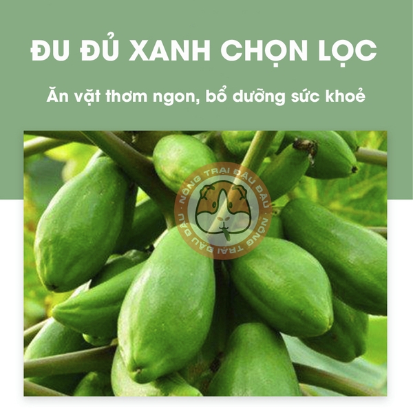 Đu Đủ Sợi Ăn Vặt Cho Thỏ, Bọ Ú, Chichilla Ăn Vặt Thơm Ngon Hỗ Trợ Tiêu Lông Tiêu Hoá 60g