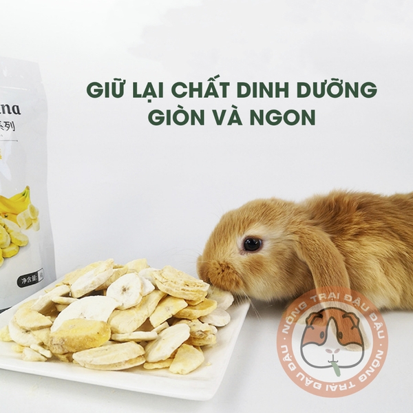 Chuối Sấy Ăn Vặt Cho Thỏ, Bọ Ú, Chinchilla Giàu Chất Xơ 60g