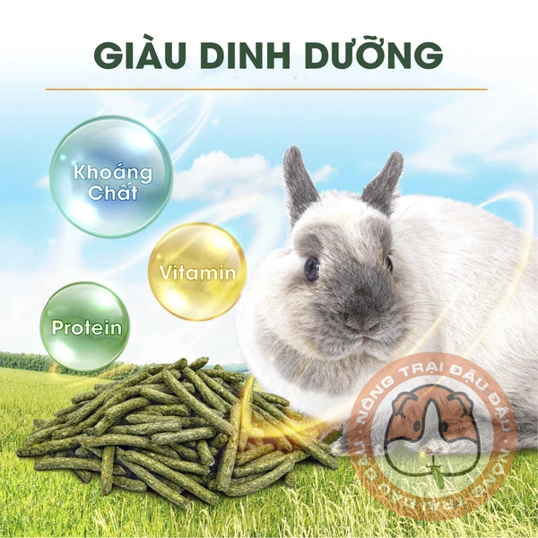 Bánh Cỏ Mài Răng MrHay Cho Thỏ, Bọ Ú, Chinchilla Kết Hợp 4 Loại Cỏ 800g MH39